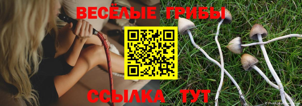 Ртищево  Псилоцибиновые грибы прущие грибы  Вход с VPN 